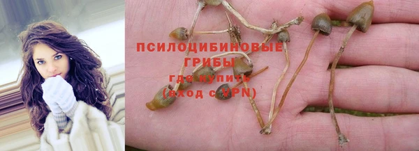 стаф Абдулино