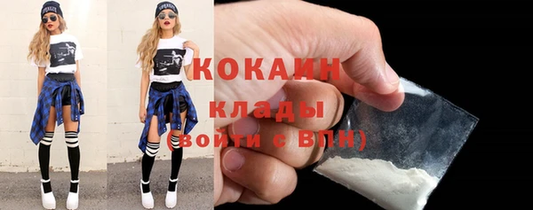 соль ск Абаза