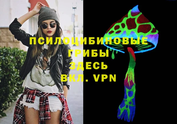 соль ск Абаза