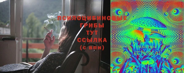 гашишное масло Краснослободск