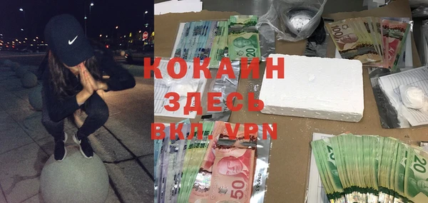 соль ск Абаза