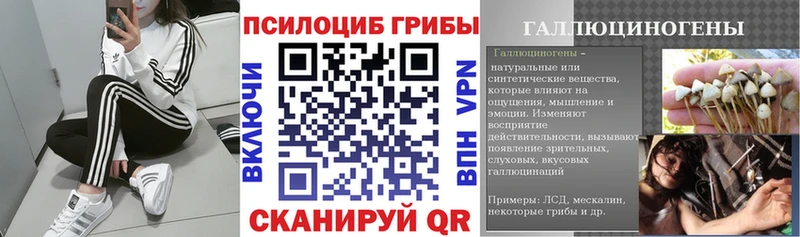 Псилоцибиновые грибы GOLDEN TEACHER  купить  сайты  Южа 